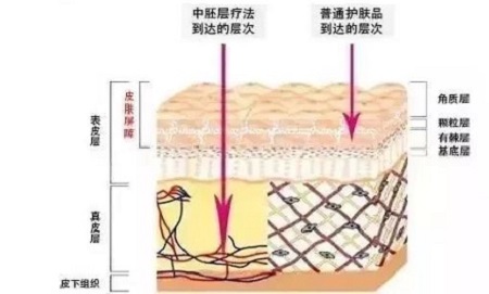 才是SK2+HR+Lamer組成的王炸！