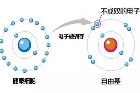 法國絲麗-抗衰神器