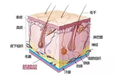 沒有誰能永遠年輕，不老都是保養的早！