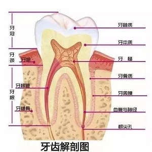 問(wèn)診室：為什么我的牙卻永遠(yuǎn)也刷不白？