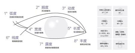 美眼張誠坐診美萊，淺談為什么你的眼睛不夠美？