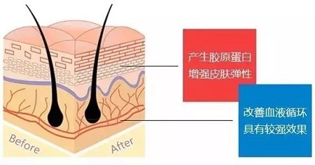 關(guān)于*雕，你想了解的都在這里！